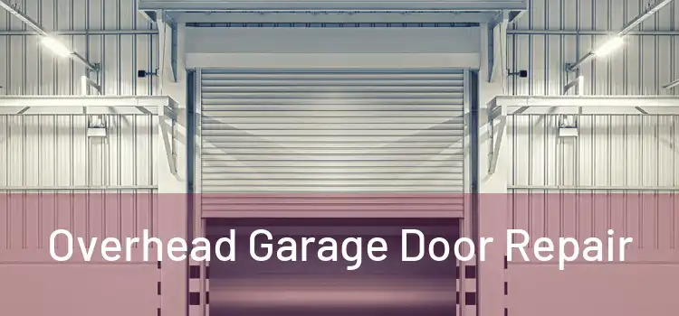  Overhead Garage Door Repair 